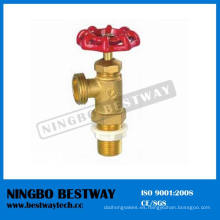 Válvula de drenaje macho de la caldera de 1/2 &quot;Ningbo Bestway (BW-S24)